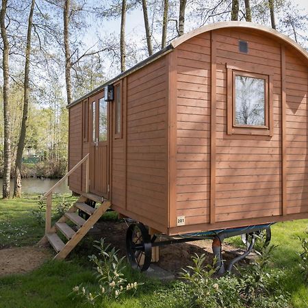 Glamping - 25 Min Roermond, Maasmechelen & Maastricht Hotel Kinrooi Exterior foto